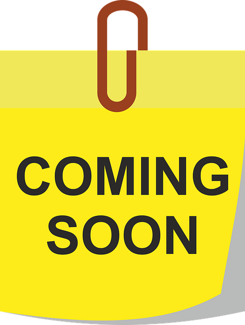 Sports bag tags